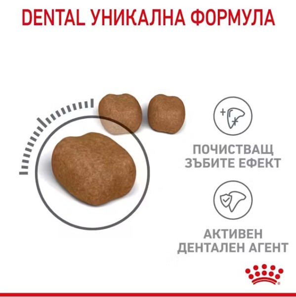 Royal Canin Cat Dental Care - Пълноценна суха храна за котки за намаляване образуването на зъбен камък